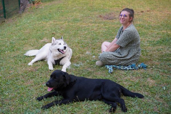 Des citoyens à la défense de leur parc canin