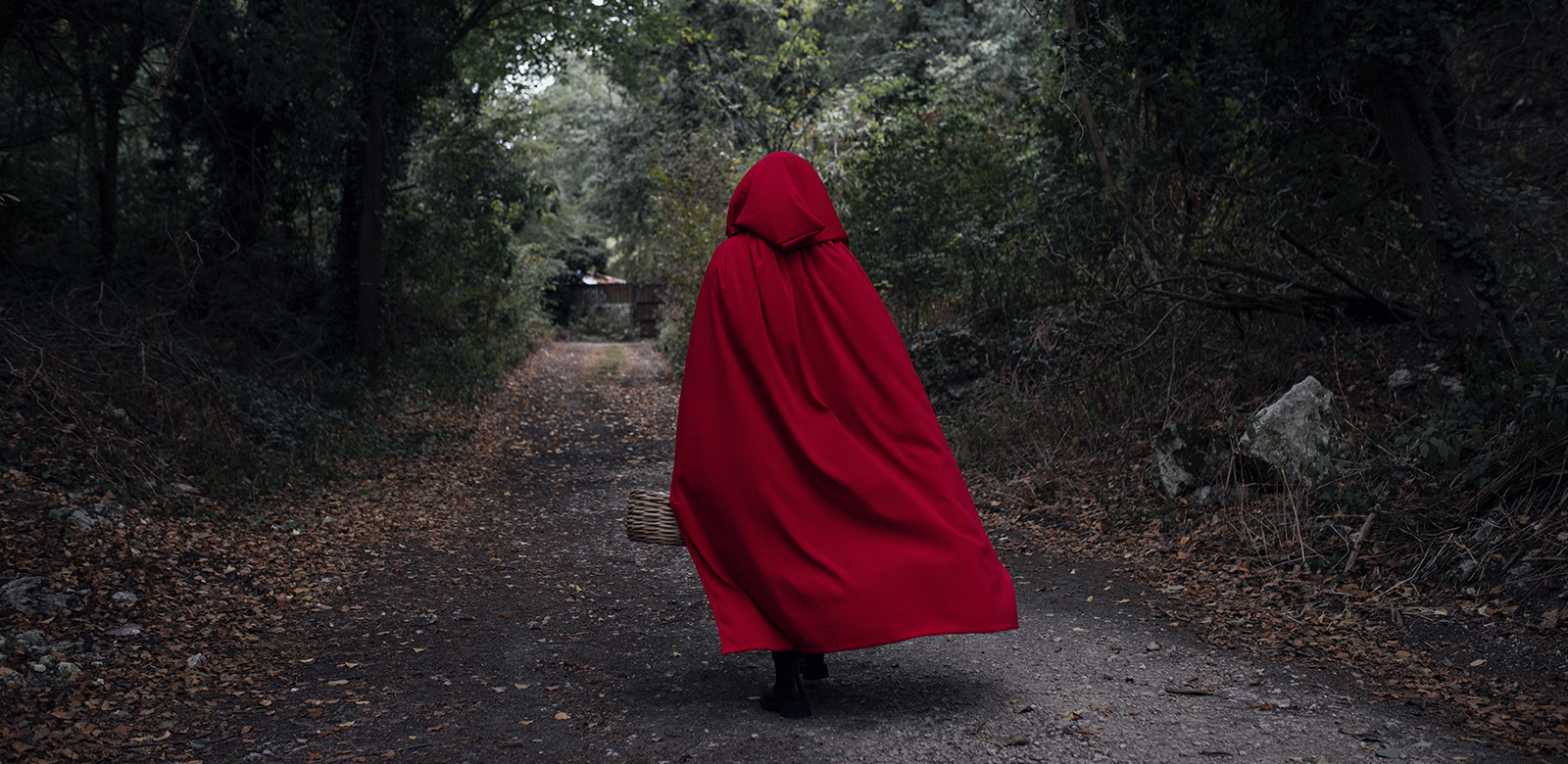 Illustration principale